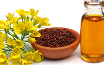 Mustard as Food and Medicine