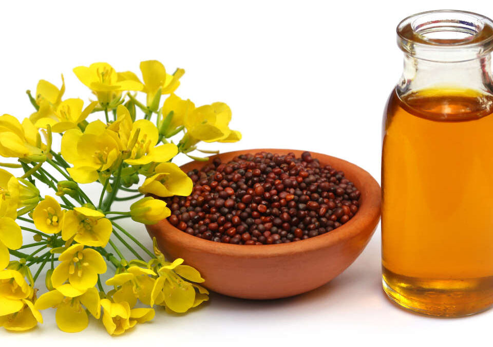 Mustard as Food and Medicine